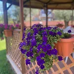 Nocleg ze śniadaniem Corvara Nettuno