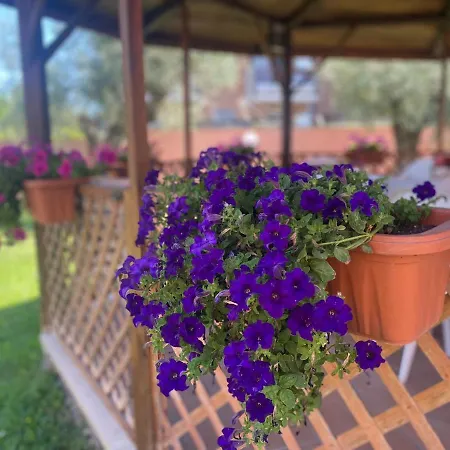 Bed & Breakfast Corvara Nettuno