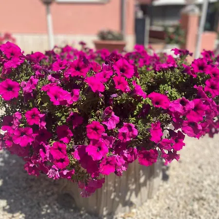 Oda ve Kahvaltı Corvara 4*