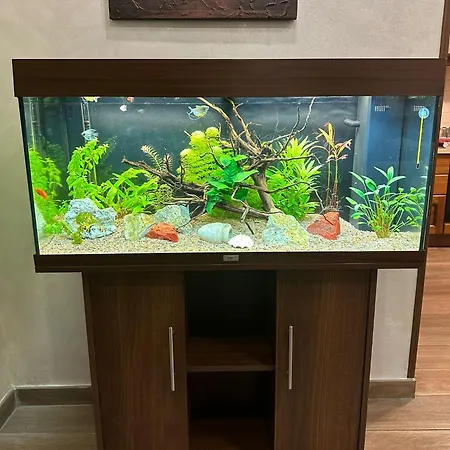 Oda ve Kahvaltı Corvara 4*