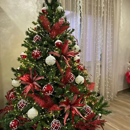 Corvara Bed & Breakfast Nettuno