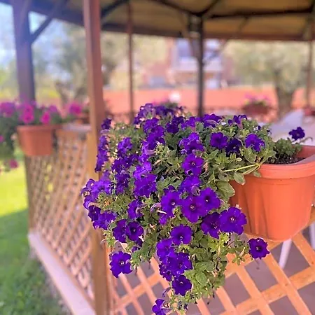 Corvara Bed & Breakfast