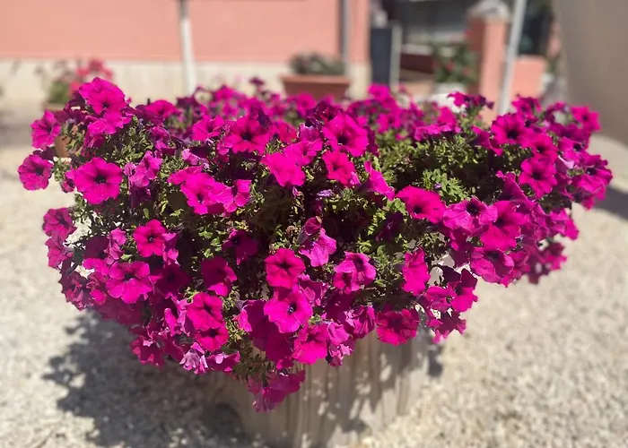 Bed and Breakfast Corvara 4*