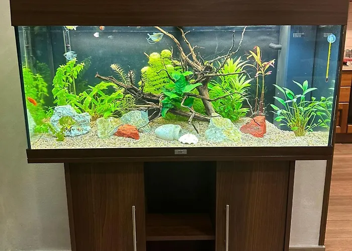 Bed and Breakfast Corvara 4*